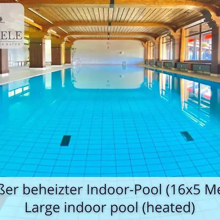 Neu Exklusives Waldseele Mit Indoor-pool, Sauna, Lage Und Ausblick In Natur, Hunde Willkommen Schonach im Schwarzwald