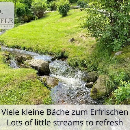 Apartamento Exklusives 5-sterne Waldseele Mit Indoor-pool, Sauna, Lage Und Ausblick In Natur, Hunde Willkommen *