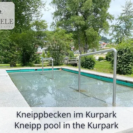 Apartamento Exklusives 5-sterne Waldseele Mit Indoor-pool, Sauna, Lage Und Ausblick In Natur, Hunde Willkommen Schonach im Schwarzwald