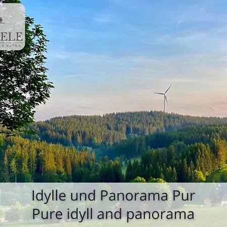 Exklusives 5-sterne Waldseele Mit Indoor-pool, Sauna, Lage Und Ausblick In Natur, Hunde Willkommen Schonach im Schwarzwald