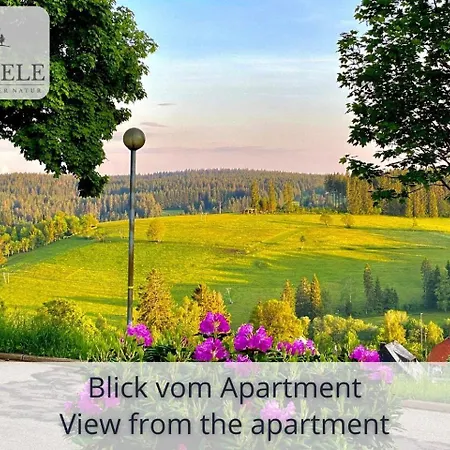 Exklusives 5-sterne Waldseele Mit Indoor-pool, Sauna, Lage Und Ausblick In Natur, Hunde Willkommen Apartament