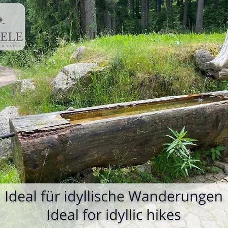 Exklusives 5-sterne Waldseele Mit Indoor-pool, Sauna, Lage Und Ausblick In Natur, Hunde Willkommen Apartament *
