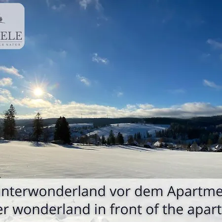 Exklusives 5-sterne Waldseele Mit Indoor-pool, Sauna, Lage Und Ausblick In Natur, Hunde Willkommen Apartament *