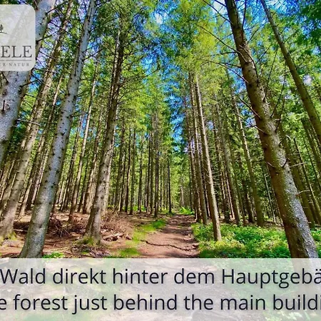 Apartamento Exklusives 5-sterne Waldseele Mit Indoor-pool, Sauna, Lage Und Ausblick In Natur, Hunde Willkommen Schonach im Schwarzwald