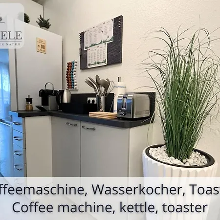 Exklusives 5-sterne Waldseele Mit Indoor-pool, Sauna, Lage Und Ausblick In Natur, Hunde Willkommen Schonach im Schwarzwald