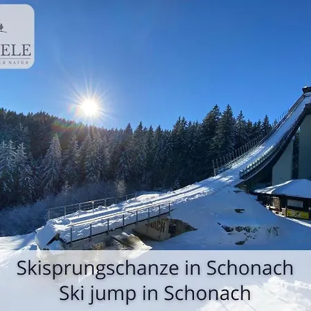 Neu Exklusives Waldseele Mit Indoor-pool, Sauna, Lage Und Ausblick In Natur, Hunde Willkommen * Schonach im Schwarzwald