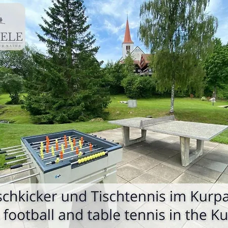 Neu Exklusives Waldseele Mit Indoor-pool, Sauna, Lage Und Ausblick In Natur, Hunde Willkommen Apartment Schonach im Schwarzwald
