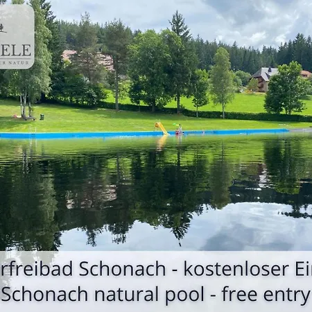 Neu Exklusives Waldseele Mit Indoor-pool, Sauna, Lage Und Ausblick In Natur, Hunde Willkommen Schonach im Schwarzwald