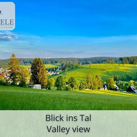 Exklusives 5-sterne Waldseele Mit Indoor-pool, Sauna, Lage Und Ausblick In Natur, Hunde Willkommen