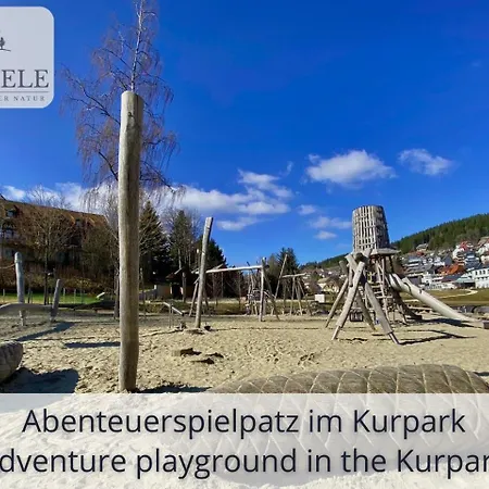 Apartament Exklusives 5-sterne Waldseele Mit Indoor-pool, Sauna, Lage Und Ausblick In Natur, Hunde Willkommen Schonach im Schwarzwald
