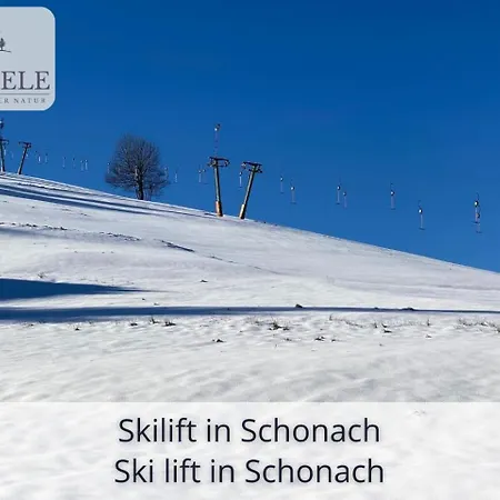 Neu Exklusives Waldseele Mit Indoor-pool, Sauna, Lage Und Ausblick In Natur, Hunde Willkommen *
