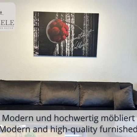 Neu Exklusives Waldseele Mit Indoor-pool, Sauna, Lage Und Ausblick In Natur, Hunde Willkommen * Schonach im Schwarzwald