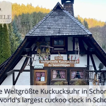 Neu Exklusives Waldseele Mit Indoor-pool, Sauna, Lage Und Ausblick In Natur, Hunde Willkommen Apartment