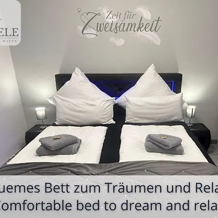 Exklusives 5-sterne Waldseele Mit Indoor-pool, Sauna, Lage Und Ausblick In Natur, Hunde Willkommen Schonach im Schwarzwald