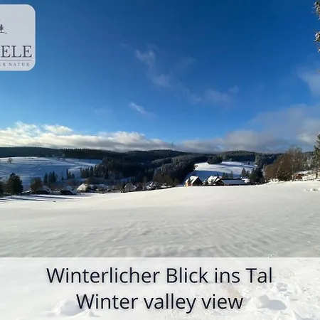 Apartamento Exklusives 5-sterne Waldseele Mit Indoor-pool, Sauna, Lage Und Ausblick In Natur, Hunde Willkommen *